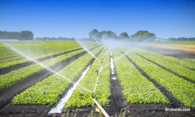 Farm Management Services - image 1