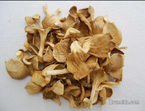 Dry mushroom supplier in brunei - image 4
