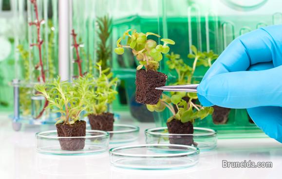 Grab Internship in India for different stream in Biosciences - image 3