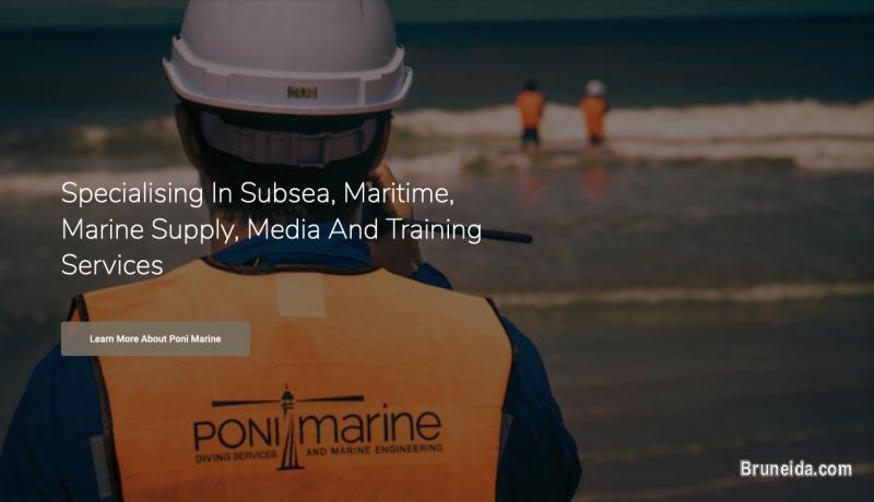 Poni Marine - image 2