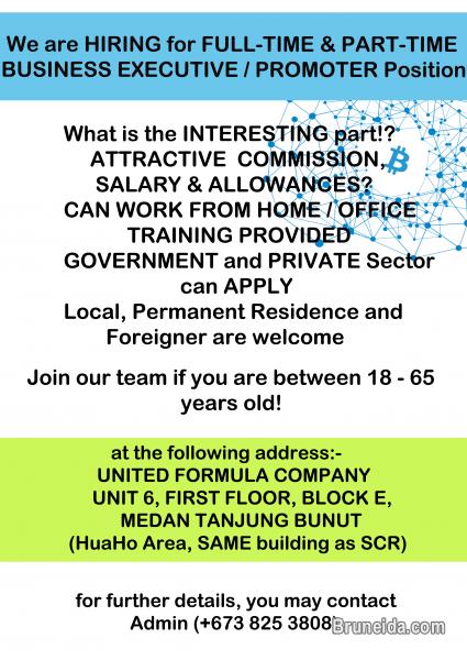 HIRING PART TIME / FULL TIME BUSINESS EXECUTIVE OR PROMOTER POSIT - image 1