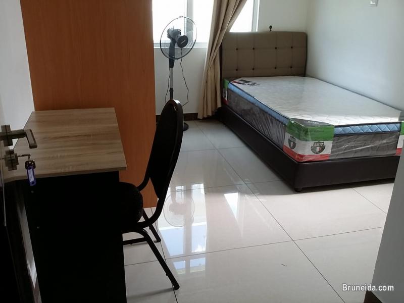 Rooms for rent - image 4