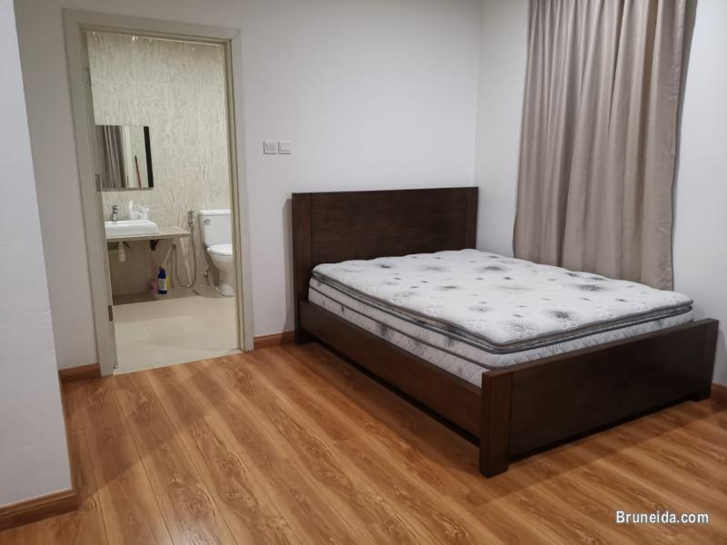 Rooms for rent - image 5