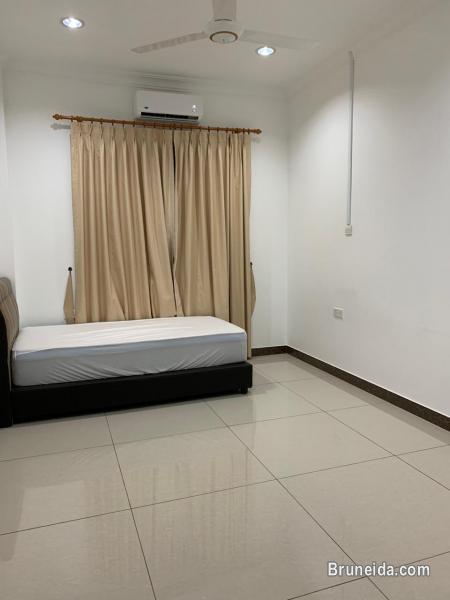 Rooms for rent - image 6