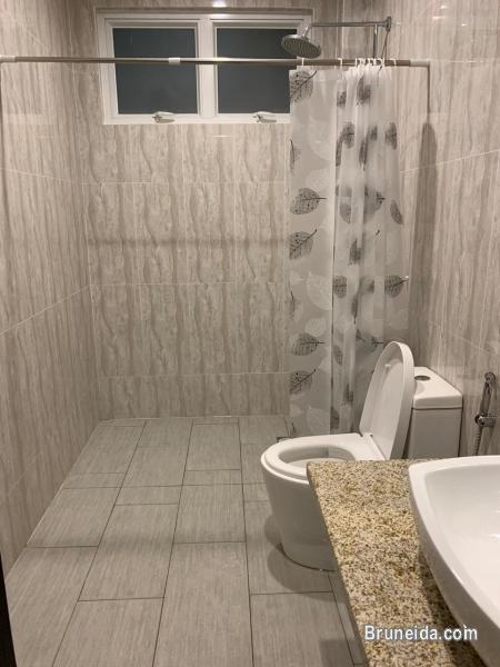 Rooms for rent - image 7