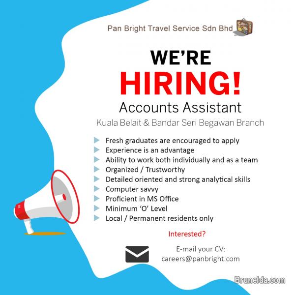 Accounts Assistant - image 1