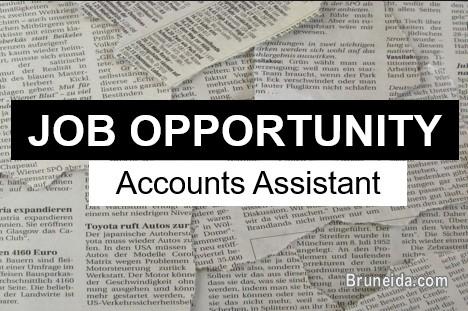 Accounts Assistant KB and BSB - image 1