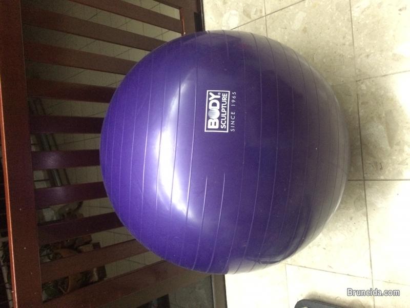 Body Sculpture Gym Ball - image 1