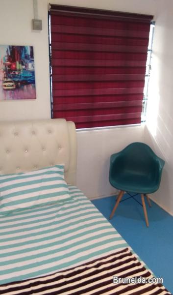 (AVAILABLE) Co. Living Hostel Bandar Room 1 - Private - image 2