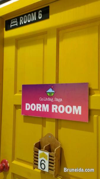 (AVAILABLE) Co. Living Saga Tungku Link Dorm 6 - Shared Bunkbed - image 1