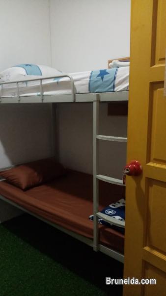 (AVAILABLE) Co. Living Saga Tungku Link Dorm 6 - Shared Bunkbed - image 2