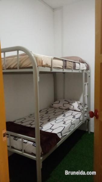 (AVAILABLE) Co. Living Saga Tungku Link Dorm 6 - Shared Bunkbed - image 3