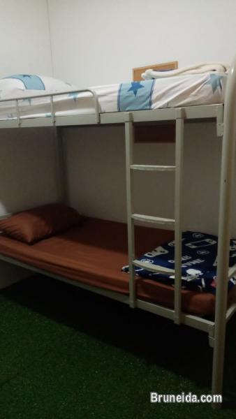 (AVAILABLE) Co. Living Saga Tungku Link Dorm 6 - Shared Bunkbed - image 4