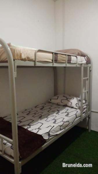 (AVAILABLE) Co. Living Saga Tungku Link Dorm 6 - Shared Bunkbed - image 5
