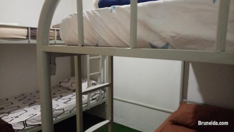 (AVAILABLE) Co. Living Saga Tungku Link Dorm 6 - Shared Bunkbed - image 6
