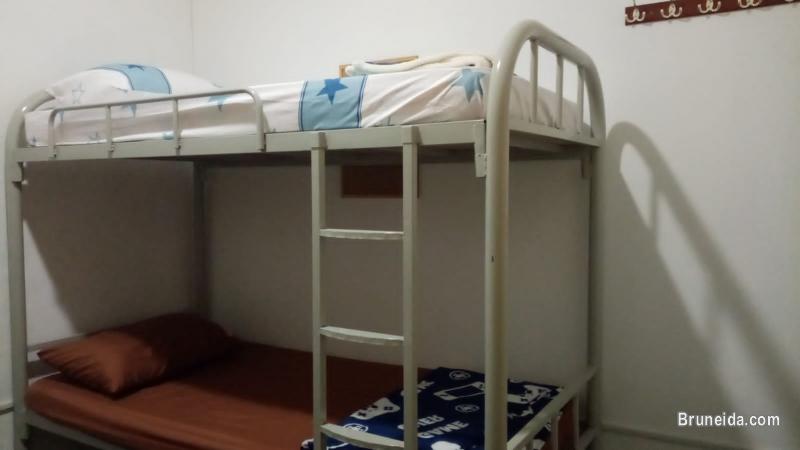 (AVAILABLE) Co. Living Saga Tungku Link Dorm 6 - Shared Bunkbed - image 7