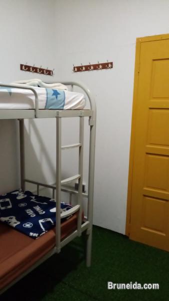 (AVAILABLE) Co. Living Saga Tungku Link Dorm 6 - Shared Bunkbed - image 8