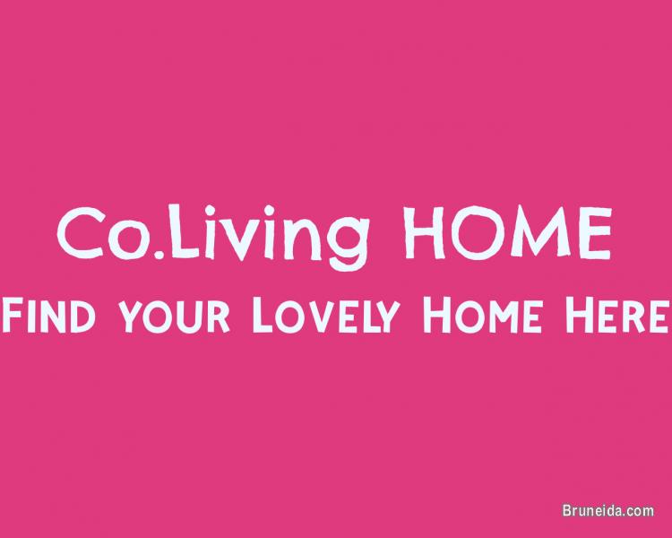 Beribi - Sumbangsih Apartment 2Bedrooms $1, 400 Fully Furnished - image 4