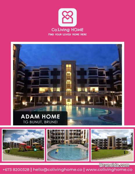 Tg Bunut - APARTMENT C $1, 400 Rental Property Video - image 1