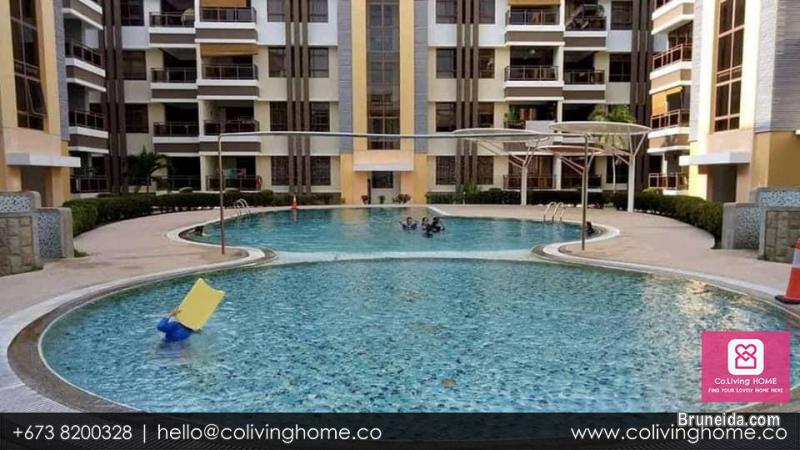 Tg Bunut - APARTMENT C $1, 400 Rental Property Video - image 6