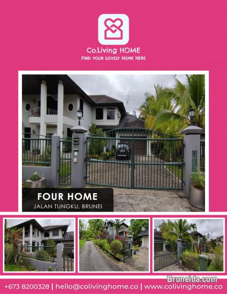 Tungku - FOUR HOME $4K - image 1