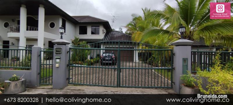 Tungku - FOUR HOME $4K - image 2