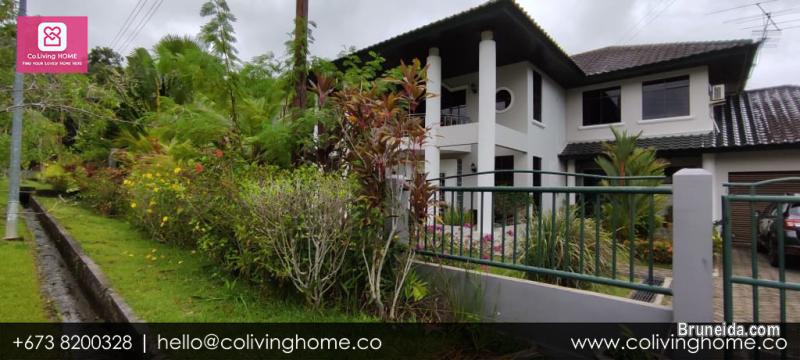 Tungku - FOUR HOME $4K - image 3