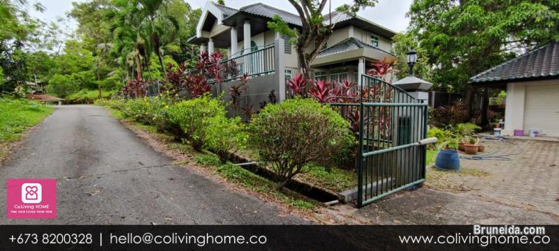 Tungku - FOUR HOME $4K - image 4