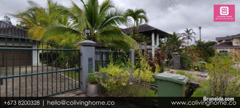 Tungku - FOUR HOME $4K - image 5