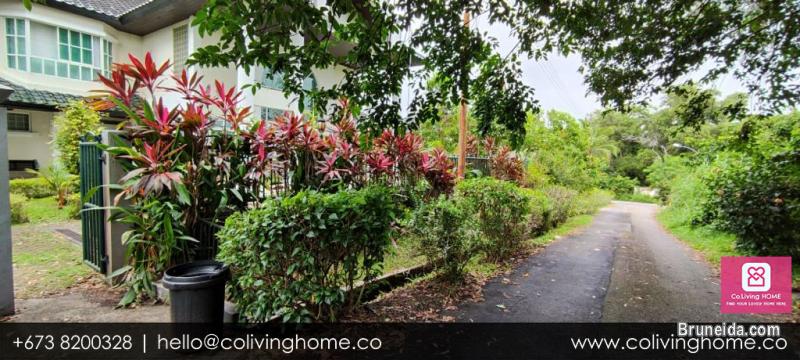 Tungku - FOUR HOME $4K - image 7