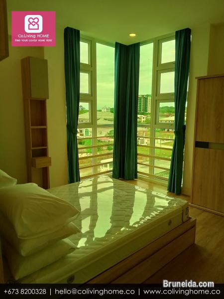 Kiulap - BAY HOME FOR RENT $1. 5K - image 3