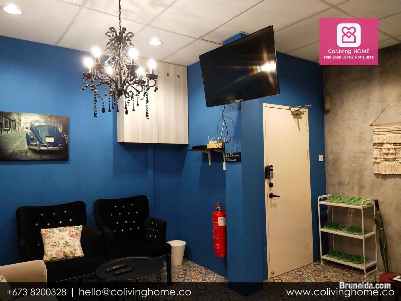 Beribi - ANNA HOMES FOR SALE $450K - image 5