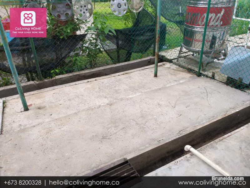 Kg. Mata Mata, Brunei - TULESHOVA HOME FOR RENT $900 - image 11