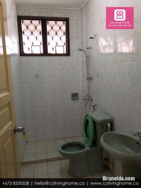 Kg. Mata Mata, Brunei - TULESHOVA HOME FOR RENT $900 - image 12