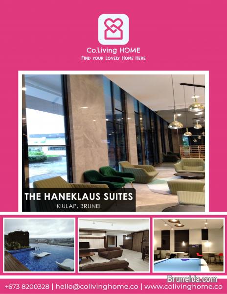 Kiulap - THE HANEKLAUS $2K - image 1