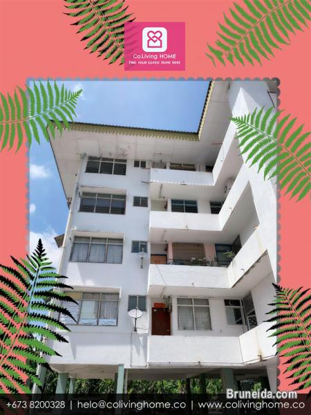 Bandar - BAYRAM HOME FOR SALE $98K & RENT $450 - image 3