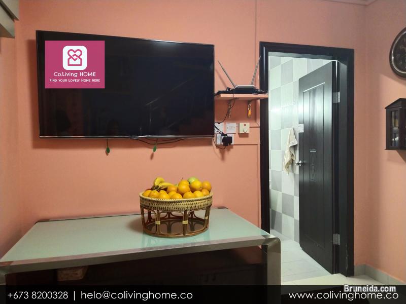 Serusop, Brunei - DEFNE HOME FOR SALE $240K - image 7