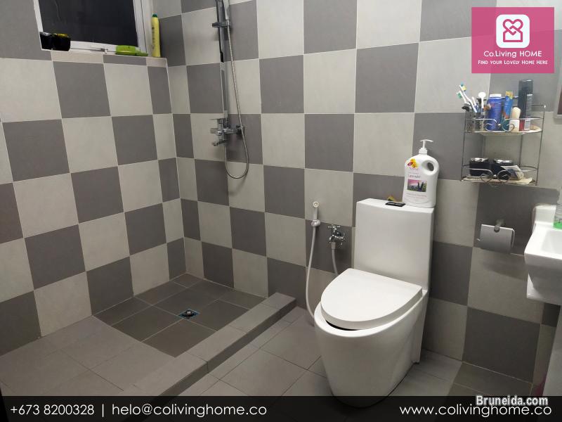 Serusop, Brunei - DEFNE HOME FOR SALE $240K - image 8