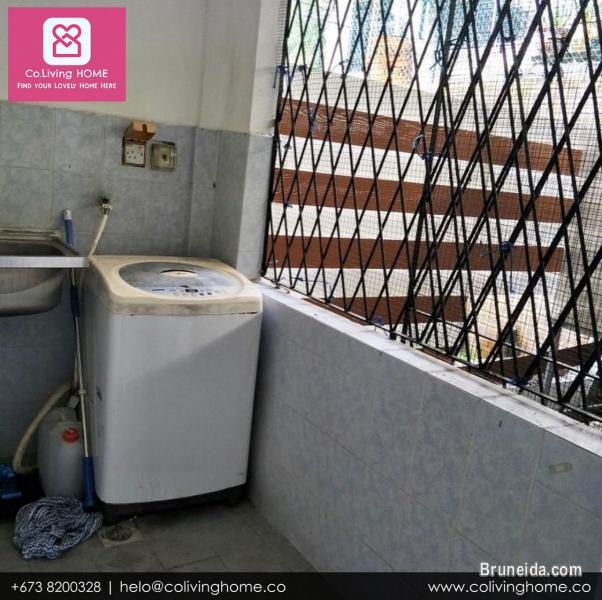 Sg. Akar - MAKBULE HOME FOR RENT $1K - image 4