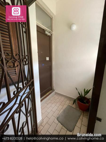 Bandar, Brunei- DOGUS HOME FOR RENT $480 SALE $98K - image 10