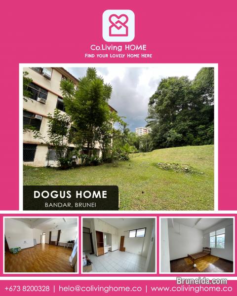 Bandar, Brunei- DOGUS HOME FOR RENT $480 SALE $98K - image 1