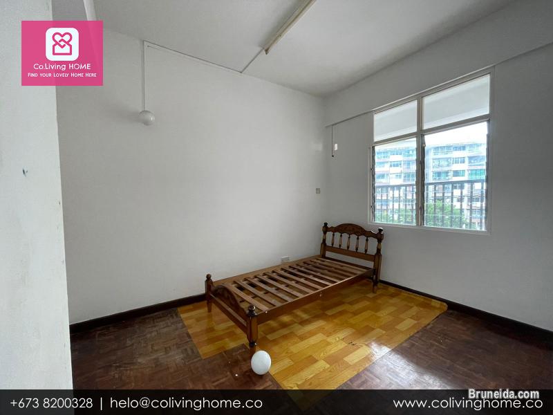 Bandar, Brunei- DOGUS HOME FOR RENT $480 SALE $98K - image 5