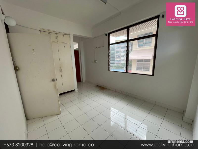 Bandar, Brunei- DOGUS HOME FOR RENT $480 SALE $98K - image 6
