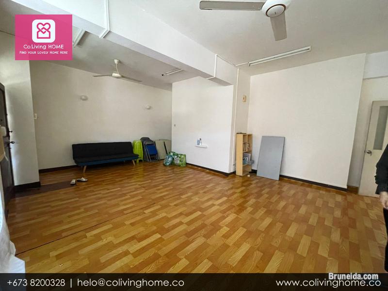 Bandar, Brunei- DOGUS HOME FOR RENT $480 SALE $98K - image 7