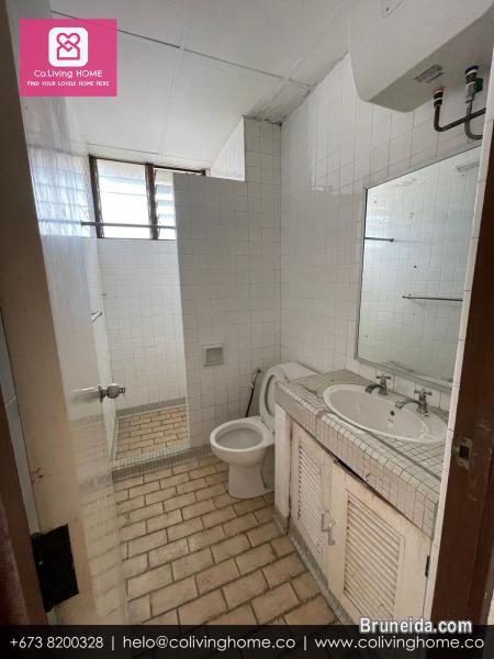 Bandar, Brunei- DOGUS HOME FOR RENT $480 SALE $98K - image 8