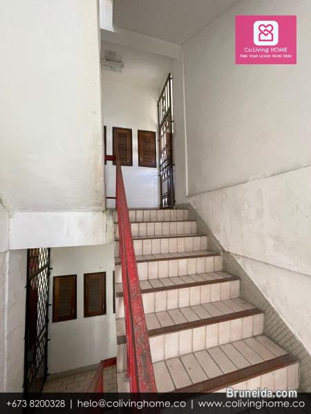 Bandar, Brunei- DOGUS HOME FOR RENT $480 SALE $98K - image 9