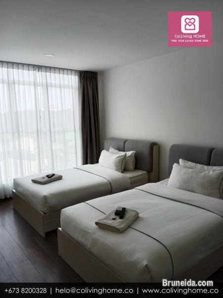 Kiulap - ELIAN HOMES FOR RENT $1K (Unfurnished) $1. 5K (Furnished - image 12