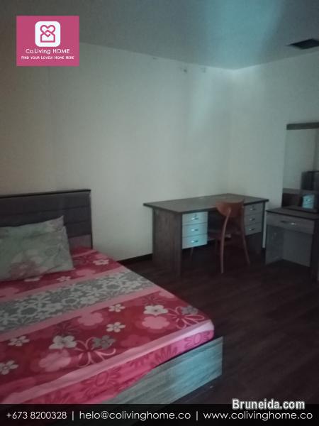 Kiulap - GUNSU HOME FOR RENT (Ask for Price) - image 10