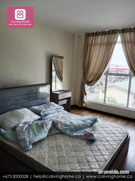 Kiulap - GUNSU HOME FOR RENT (Ask for Price) - image 11