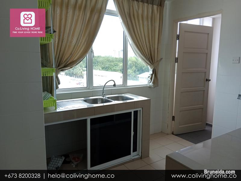 Kiulap - GUNSU HOME FOR RENT (Ask for Price) - image 12